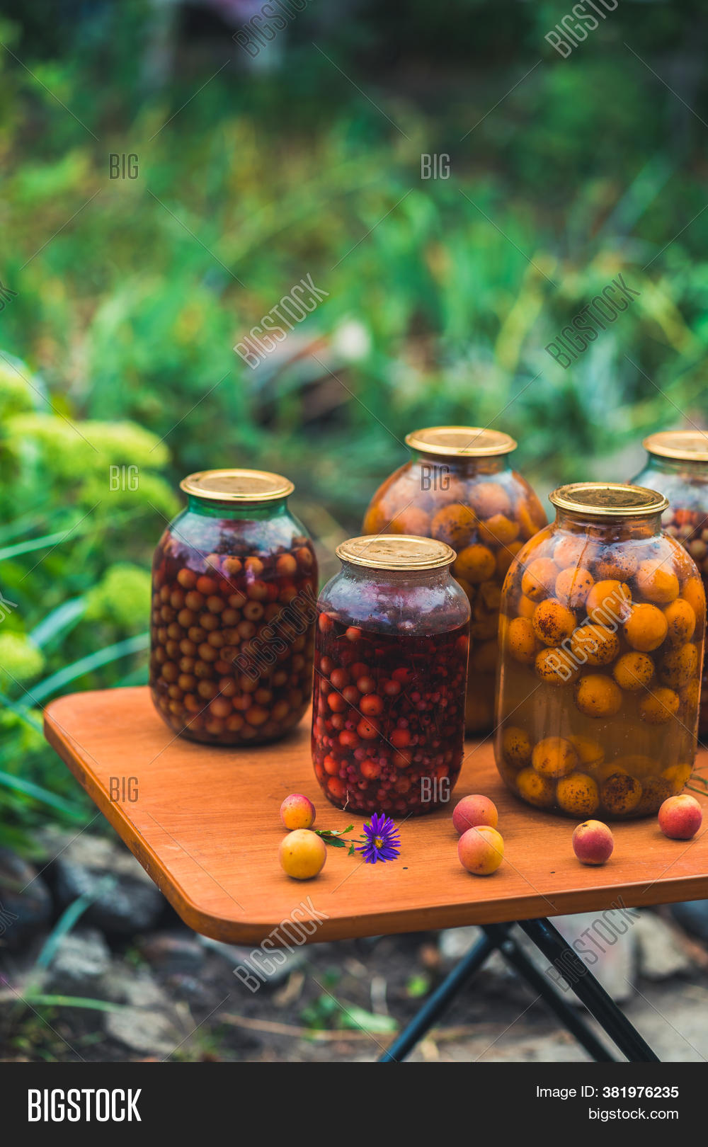 Glass Jars Canned Image & Photo (Free Trial) Bigstock