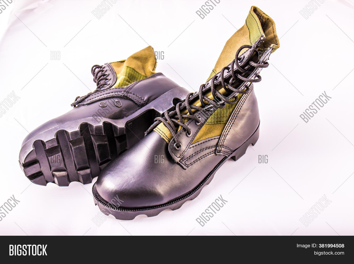 Green Canvas Jungle Image & Photo (Free Trial) | Bigstock