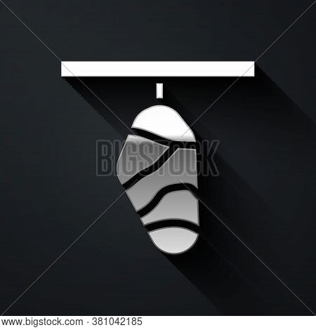 Silver Butterfly Cocoon Icon Isolated On Black Background. Pupa Of The Butterfly. Long Shadow Style.