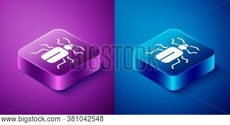 Isometric Chafer Beetle Icon Isolated On Blue And Purple Background. Square Button. Vector