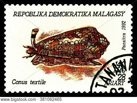 Stavropol, Russia - August  15. 2020 : A Stamp Sheet Printed In Malagasy  Shows  Mollusk  Conus  (co