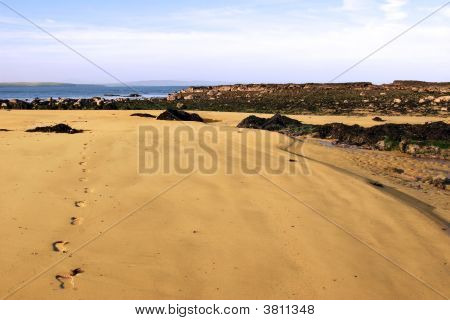 รอยเท้าของชายหาด