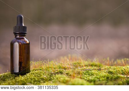 Natural Medicines Research, Green Drug Discovery In (selective Focus)