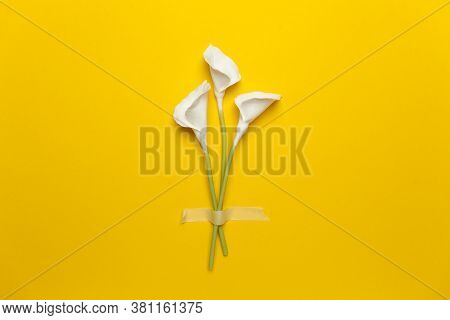 Calla Flower With Sticky Tape Isolated On Flat Lay Yellow Background. Minimal Spring Wedding Or Birt