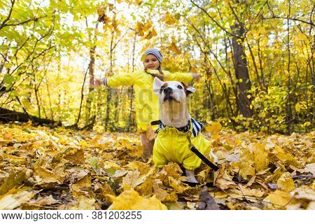 Child Plays With Jack Russell Terrier In Autumn Forest. Autumn Walk With A Dog, Children And Pet Con
