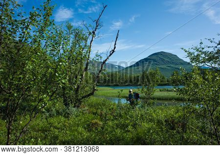Hiking in Sweden in summer. Man tourist trekking in Abisko National Park in northern Sweden. Nature of Scandinavia in sunny day blue sky