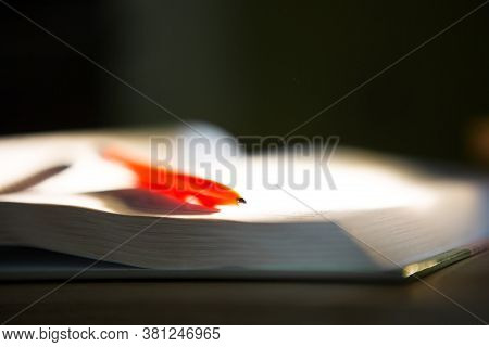 Close-up Of A Stack Of Books And A Pen With Paper For Notes. The Concept Of Home Reading Of Paper Bo