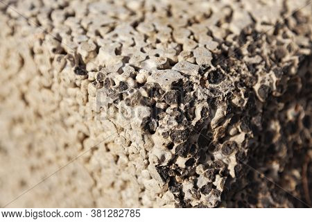 Close Up Of Blocks Consisting Of Concrete And Small Balls
