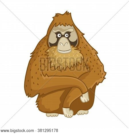 Orangutan Monkey. Isolated Wild Brown Ape Portrait. Cute Primate Mammal Cartoon Character Icon. Vect