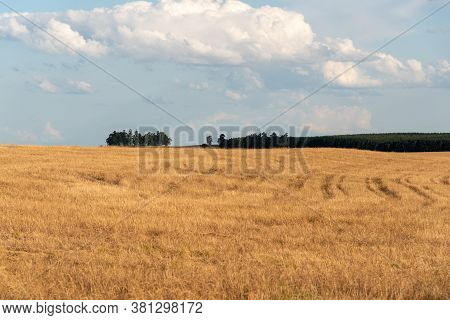 Rural Landscape Of The South American Pampas On The Borders Of Brazil, Uruguay And Argentina. Visual