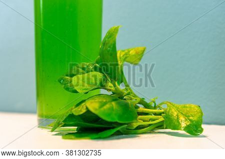 Spinach Juice (spinacia Oleracea) On Blue Background