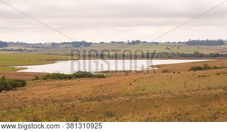 Rural Landscapes In The Campaign Region Of The State Of Rio Grande Do Sul