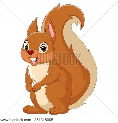 Vector Illustration Of Cartoon Happy Squirrel Isolated On White Background