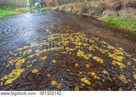 river Dyje South Moravia Czech Republic