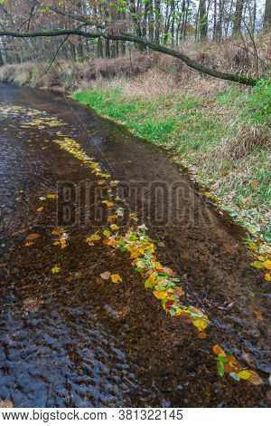 river Dyje South Moravia Czech Republic