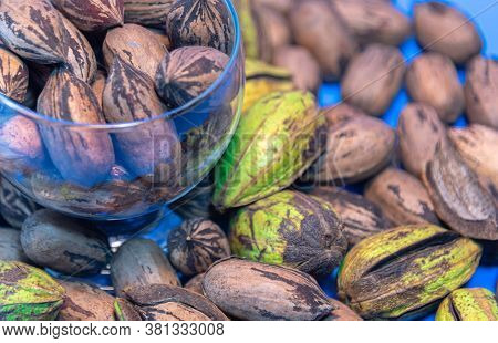 Pecan Or Pecan (carya Illinoinensis) Fruits. Exotic Fruit. Nuts. Exotic Food. Pecan Almonds. The Wor