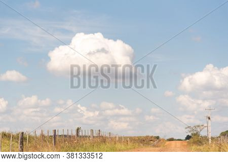 Pasture And Livestock Fields In The State Of Rio Grande Do Sul In Brazil