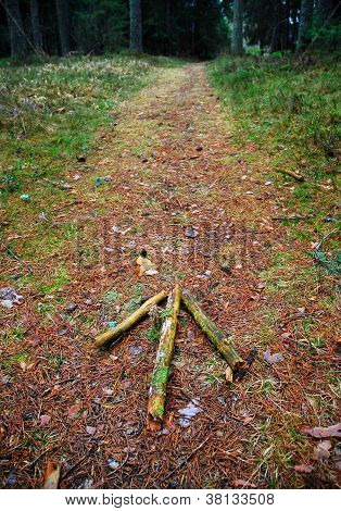 森の小道の矢印
