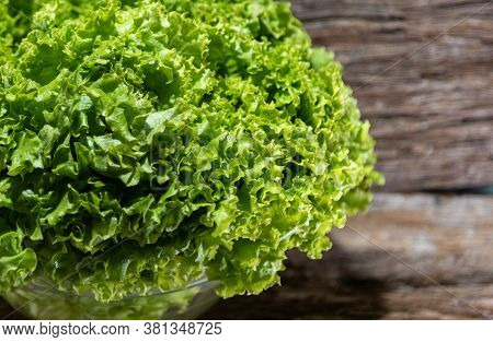Lettuce (lactuca Sativa) In Glass Bowl And Woody Background