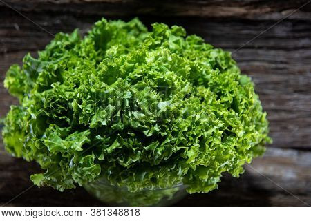 Lettuce (lactuca Sativa) In Glass Bowl And Woody Background