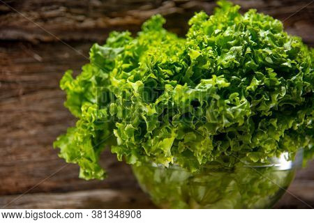 Lettuce (lactuca Sativa) In Glass Bowl And Woody Background