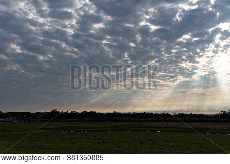 Late Afternoon In The Southern Pampa Biome Of Brazil