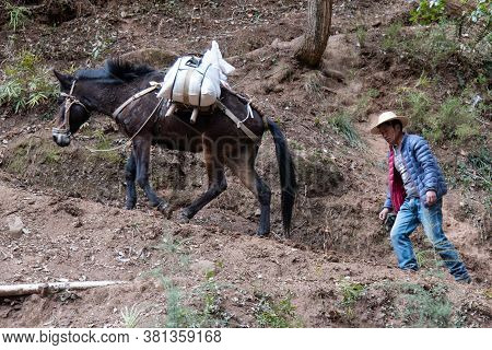February 2019. Mules At The Foot Of The Baoxiang Temple Is Also Called The Shibao Temple, Which Is L