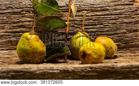 Freshly Picked Pear Fruits (pyrus Communis L) On Wooden Background