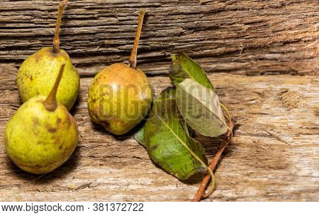Freshly Picked Pear Fruits (pyrus Communis L) On Wooden Background
