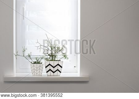 Two White Square Flower Pots With Geometric Patterns With Rhipsalis Plants Planted In Them Stand On 