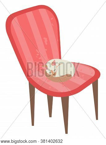 Sleeping Kitten Vector, Isolated Armchair Decorated In Vintage Style Flat. Domestic Animal Pet, Whit