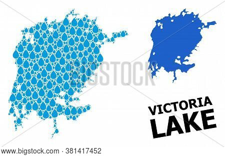 Vector Mosaic And Solid Map Of Victoria Lake. Map Of Victoria Lake Vector Mosaic For Drinking Water 