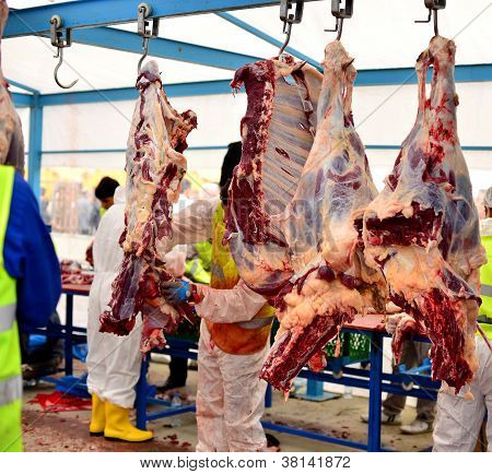 Carcassa Meathook impiccagione