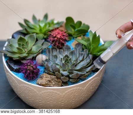 Watering Terrarium With Needle Close Up View