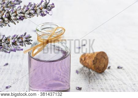 Glass Bottle Of Lavender Essential Oil With Fresh Lavender Flowers And Dried Lavender Seeds On White