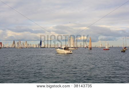 Barcolana regata, Trieste