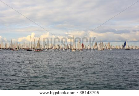 Barcolana regata, Trieste