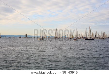 Barcolana regata, Trieste