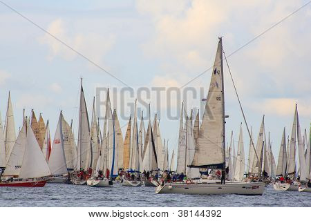 Barcolana regata, Trieste