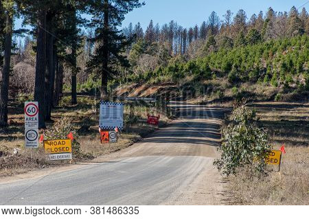 Nsw, Australia - 2020-07-06 Bogo State Forest And Sugar Pines Wallk Closed Due To Severe Fire Damage