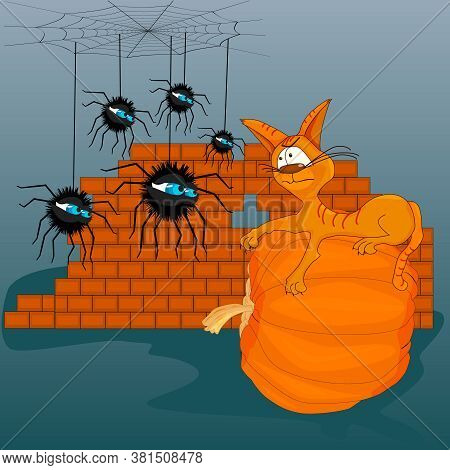 Brown Cat And Spiders Look At Each Other. Cat Lying On Pumpkin. Spiders Hanging On Thread Web. Kitty