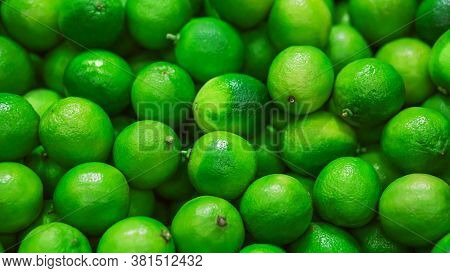 Bright Green Ripe Fruits Of Refreshing Lime Lie In A Pile, Recently Collected From The Branches Of T