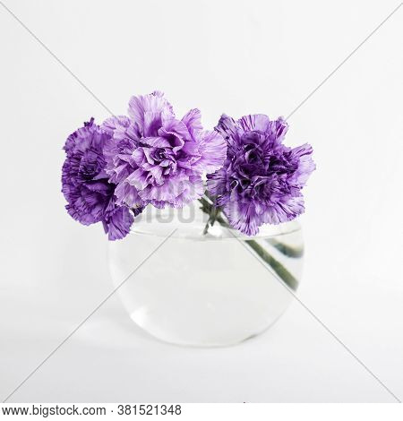 Bridal Bouquets Of Lilac Carnations In A Four Round Glass Vases Different Sizes As Table Decoration