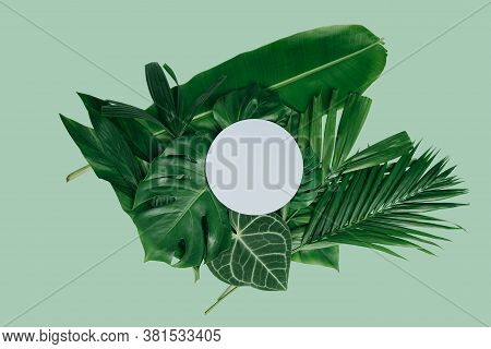Abstract Green Leaf Texture, Tropical Leaf Foliage Nature Dark Green Background