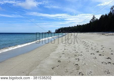 An Incredible View Of The Sandy Beaches Of Nels Bight And Experimental Bight, Surrounded By Forest A