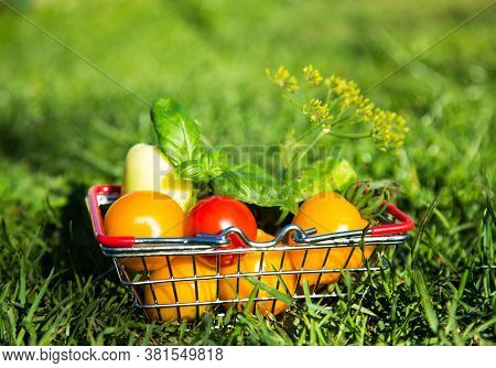 Fresh Vegetable Tomato In A Basket On Green Grass. Selective Focus. Shopping Food In Supermarket