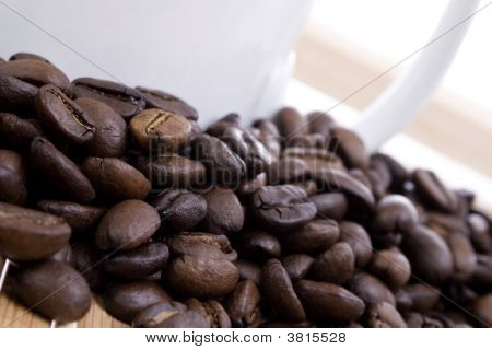 Grains de café et de coupe