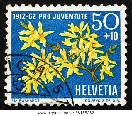 Postage stamp Zwitserland 1962 Forsythia, Forsythia Suspensa, Fl
