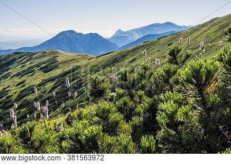 Western Tatras Scenery From Saddle Zabrat, Slovak Republic. Hiking Theme. Seasonal Natural Scene.