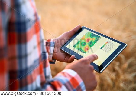 Precision Farming. Farmer Hands Hold Tablet Using Online Data Management Software, Differential Fert